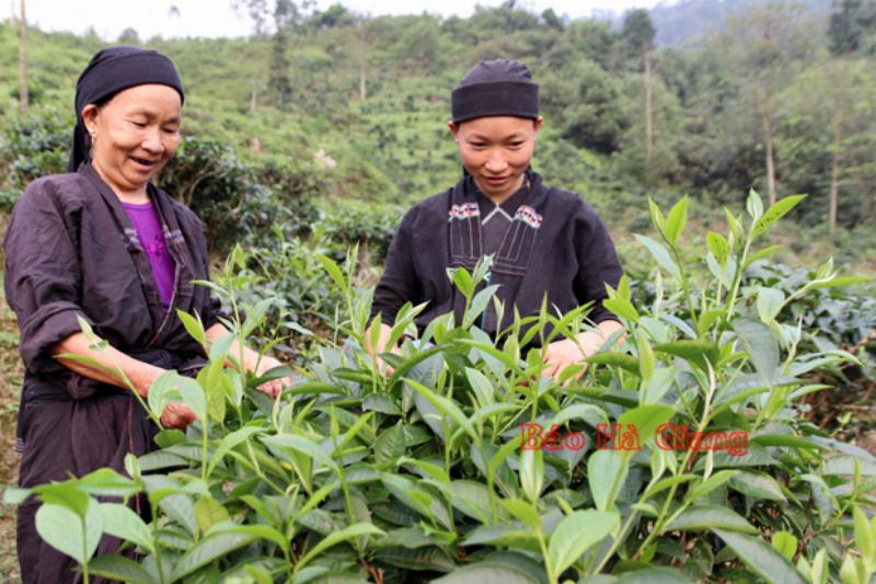 Lá lành đùm lá rách trong xã hội hiện đại
