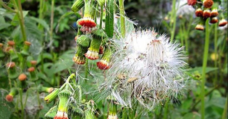 Sót xa trong ký ức tuổi thơ