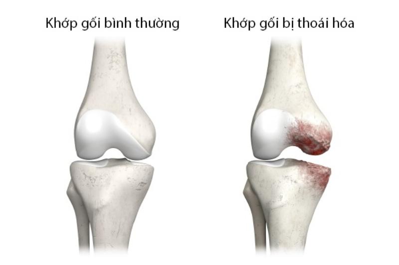 Minh họa các câu hỏi thường gặp về nhiệm vụ sử học dưới dạng bong bóng thoại