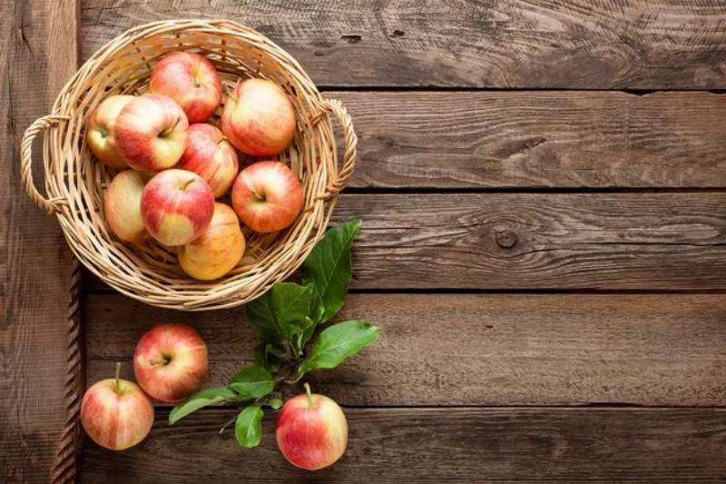 Quan sát kiến xếp hàng tìm đường đi sau khi đánh hơi thấy thức ăn, minh họa cảm ứng ở động vật.