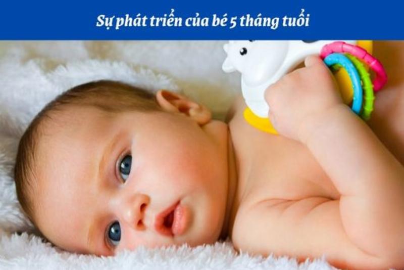 Hình ảnh minh họa trẻ em đang học cách phân biệt biểu đồ một cách vui nhộn qua trò chơi và hoạt động thực tế