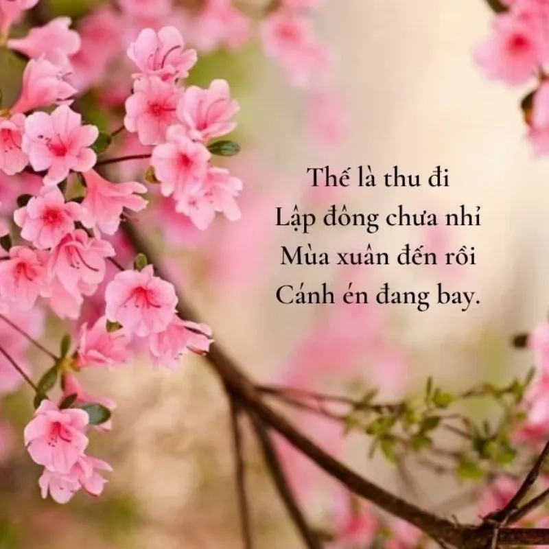 Các bài thơ ngắn về mùa xuân