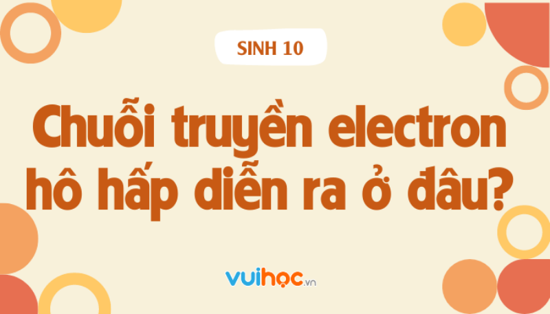 Quá trình chuỗi chuyền electron