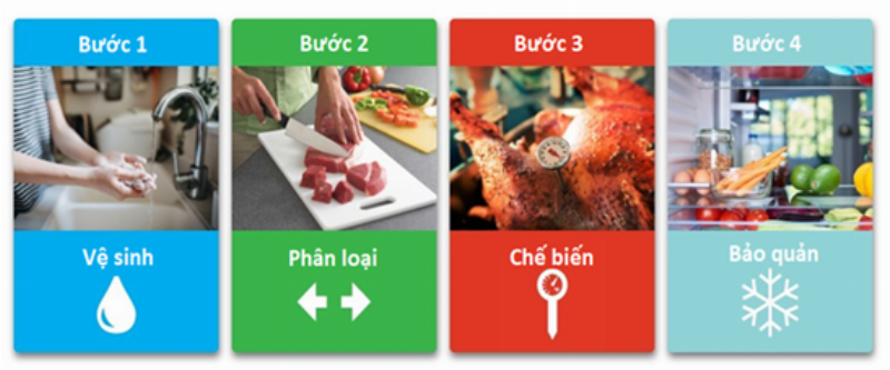 Gia đình cùng nhau thực hành cách vẽ lưới thức ăn