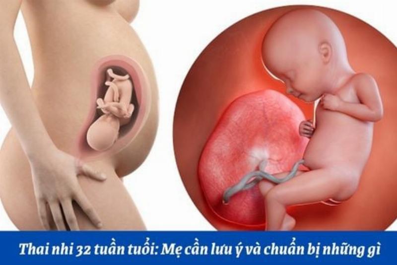 Một người mẹ và con gái đang ngồi trước máy tính, cùng nhau kiểm tra thông tin từ nhiều nguồn khác nhau.