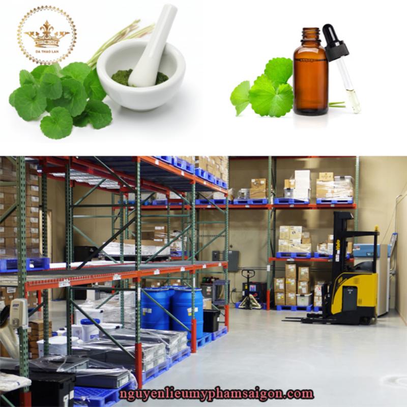 Mỹ phẩm từ thiên nhiên được chiết xuất từ thực vật