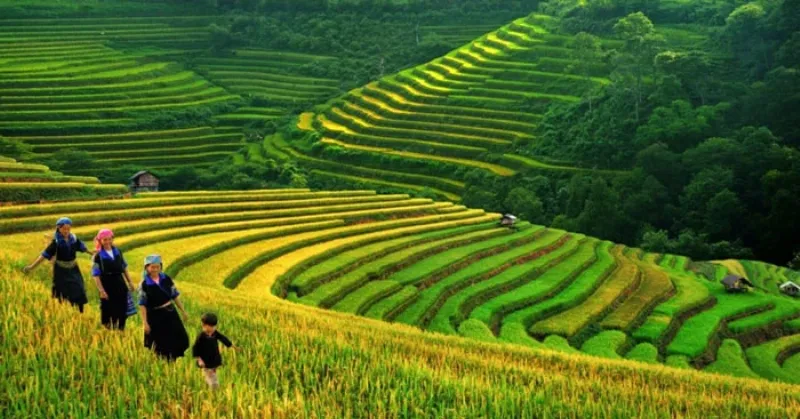 Tính dân tộc và hiện đại hòa quyện trong nghệ thuật thơ Việt Bắc