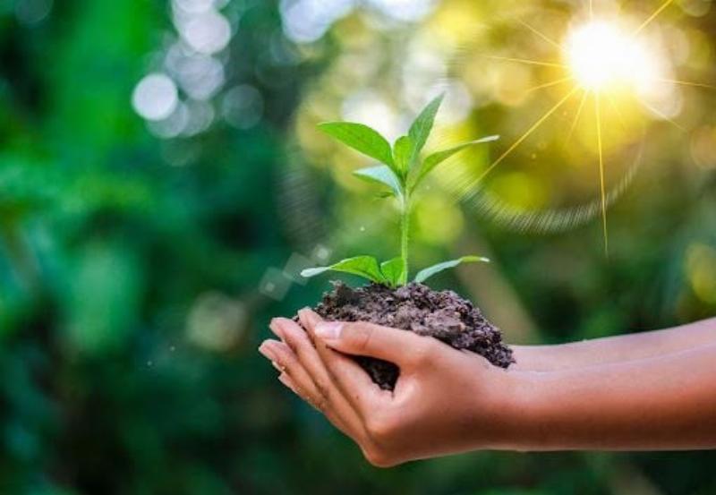 Quản lý tài nguyên hiệu quả