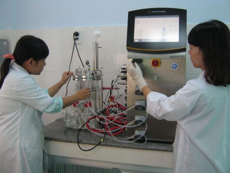 Sản xuất thuốc từ tế bào thực vật trong phòng thí nghiệm
