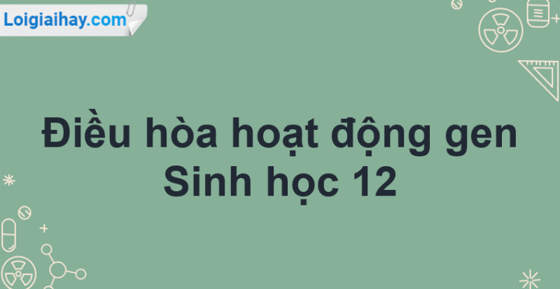 Sơ đồ tư duy điều hòa hoạt động gen Sinh học 12 bài 33 giúp học tốt trắc nghiệm