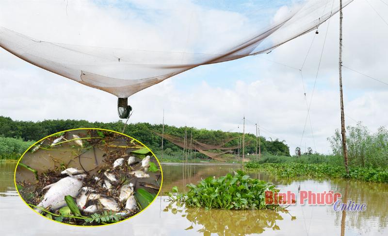 Sông suối Việt Nam cảm hứng vô tận
