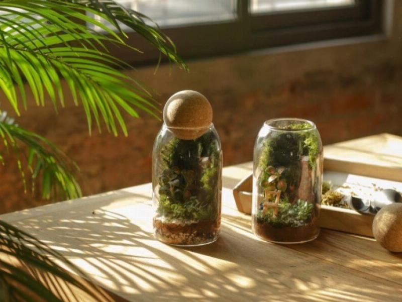 Trẻ em cùng bố mẹ tạo terrarium - hệ sinh thái mini trong lọ thủy tinh
