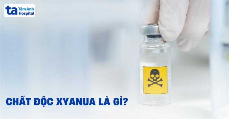 Hình ảnh minh họa bảng nguyên tử khối hóa học đơn giản với vài nguyên tố cơ bản như Hydro, Carbon, Oxy, Natri