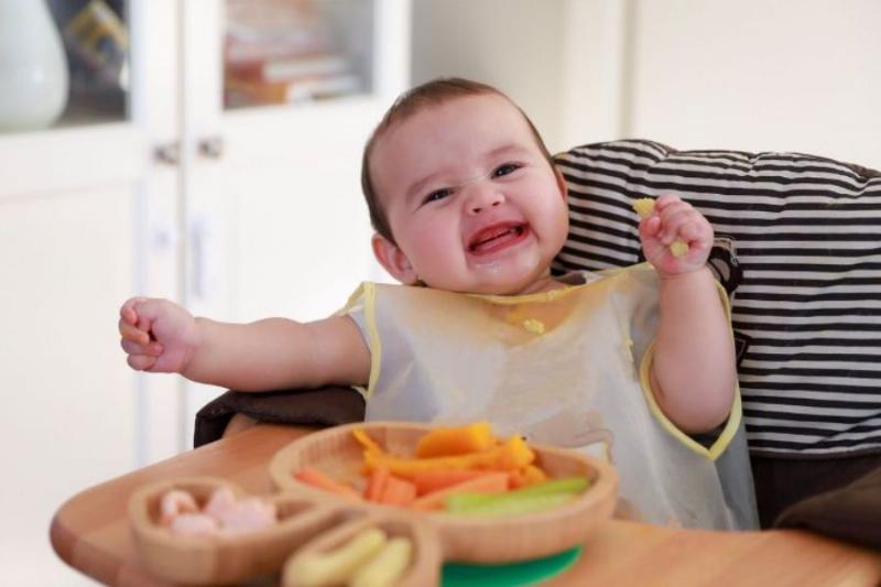 Bé ngồi trên ghế ăn, tự tay cầm thức ăn mềm, hình ảnh minh họa phương pháp ăn dặm tự chỉ huy khi bé ngán cháo