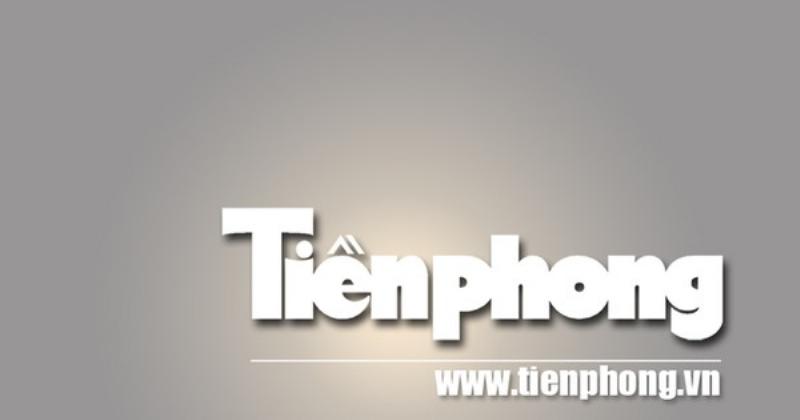 Vẻ đẹp và sức sống mãnh liệt của cây xà nu, biểu tượng trung tâm trong nghệ thuật Rừng Xà Nu của Nguyễn Trung Thành