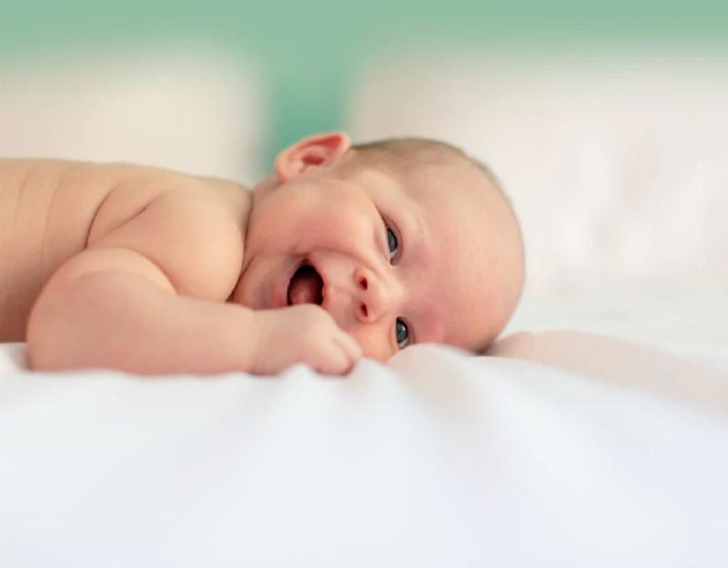 Hình ảnh bố mẹ đang chỉ cho trẻ 2-3 tuổi màu sắc của bông hoa ngoài trời
