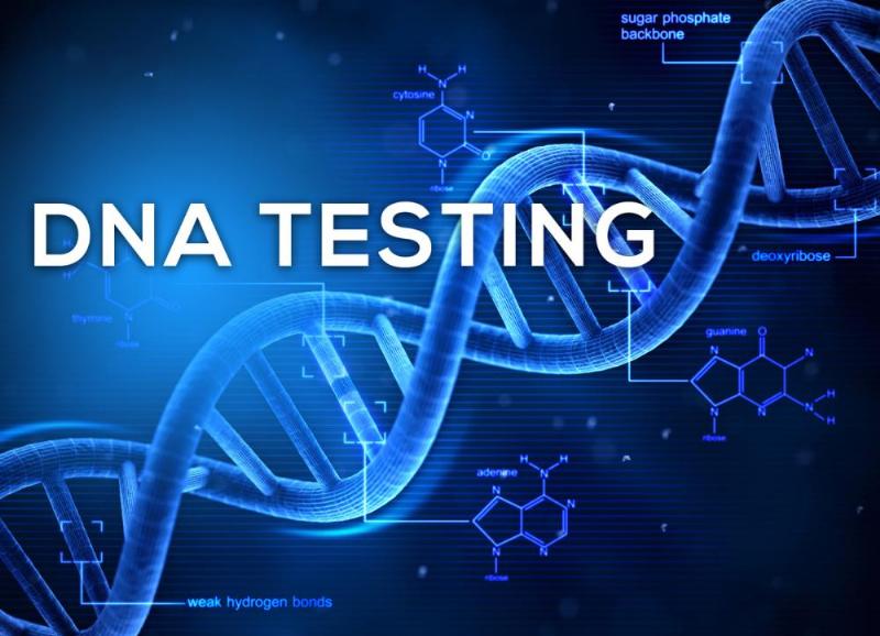 Hình ảnh cấu trúc phân tử DNA theo mô hình Watson-Crick, rất quan trọng cho trắc nghiệm sinh học 10 về di truyền.