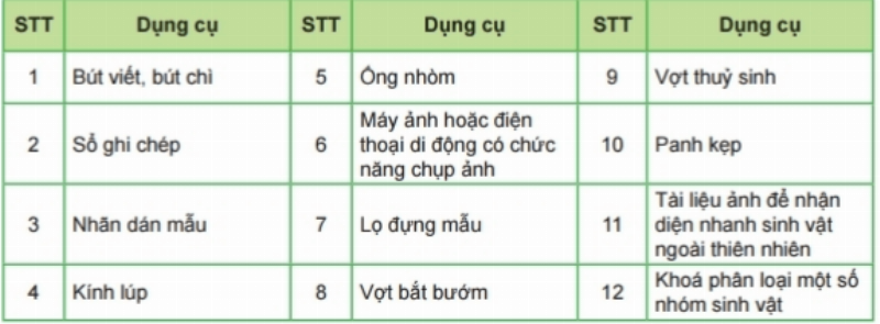 Học sinh lớp 12 đang ôn tập kiến thức sinh học bài 39 về hệ sinh thái