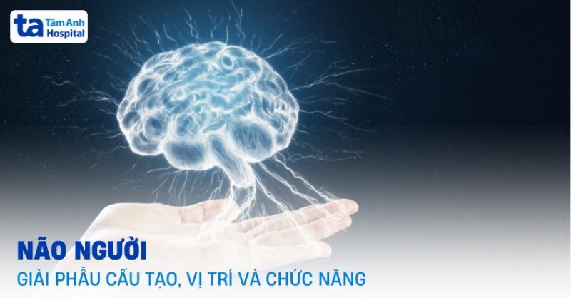 Hình ảnh một bạn nhỏ đang chơi trò ghép hình hoặc thẻ bài về các nguyên tố hóa học và nguyên tử khối của chúng