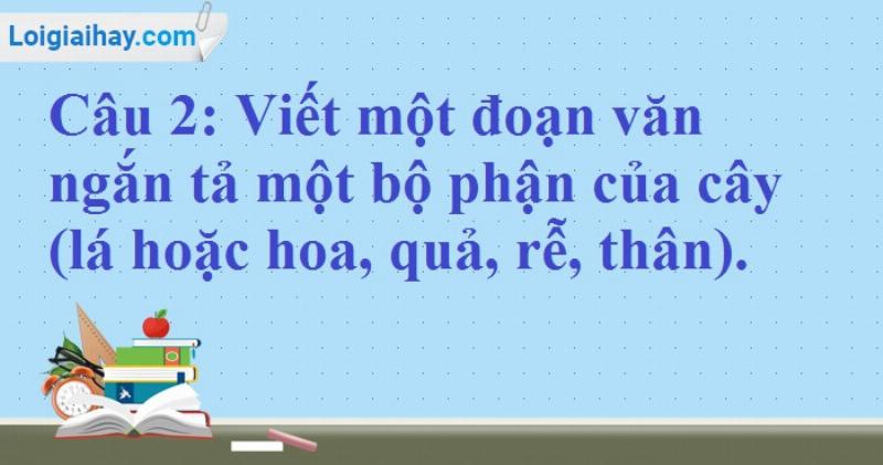 Mẹo giúp con quan sát để học tiếng việt lớp 5 bài 27b tốt hơn