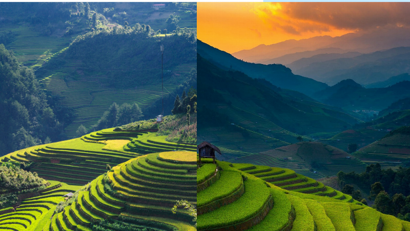 Nghệ thuật bài Việt Bắc qua hình ảnh con người và thiên nhiên trong thơ Tố Hữu.