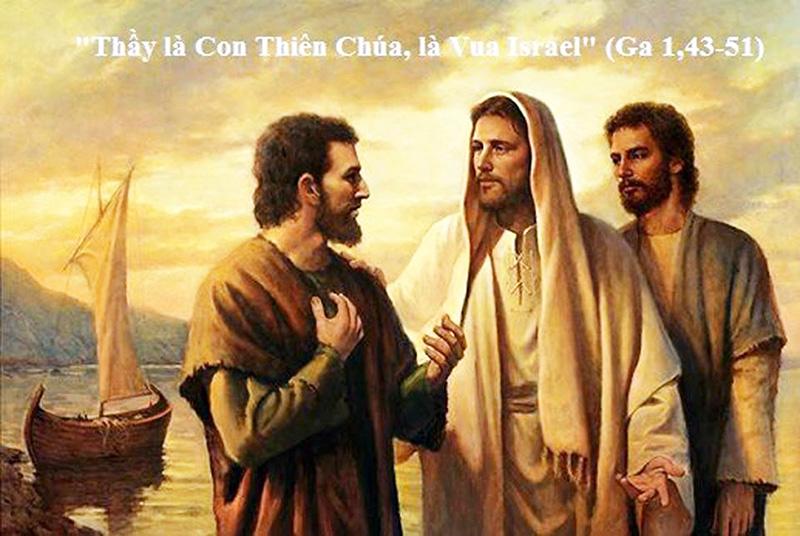 Người già ngồi dưới gốc cây đọc sách