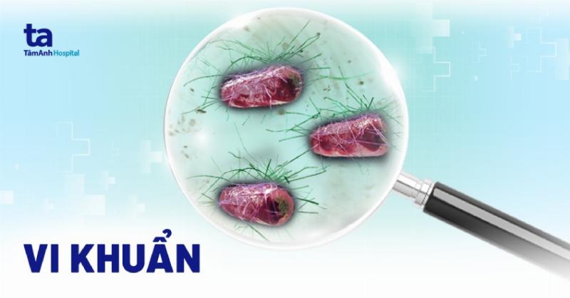 Sơ đồ minh họa quá trình chuyển hóa năng lượng trong tế bào (hô hấp hoặc quang hợp), hỗ trợ cho trắc nghiệm sinh học 10.